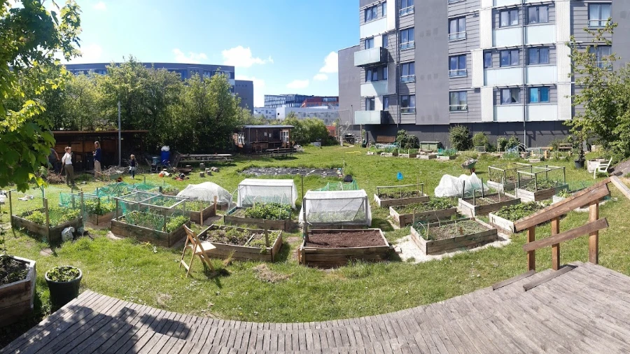 hørgårdensbyhaver.webp