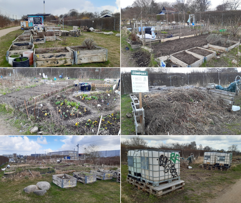 lersoegroeftens-integrationsbyhaver-2021-0406.jpg